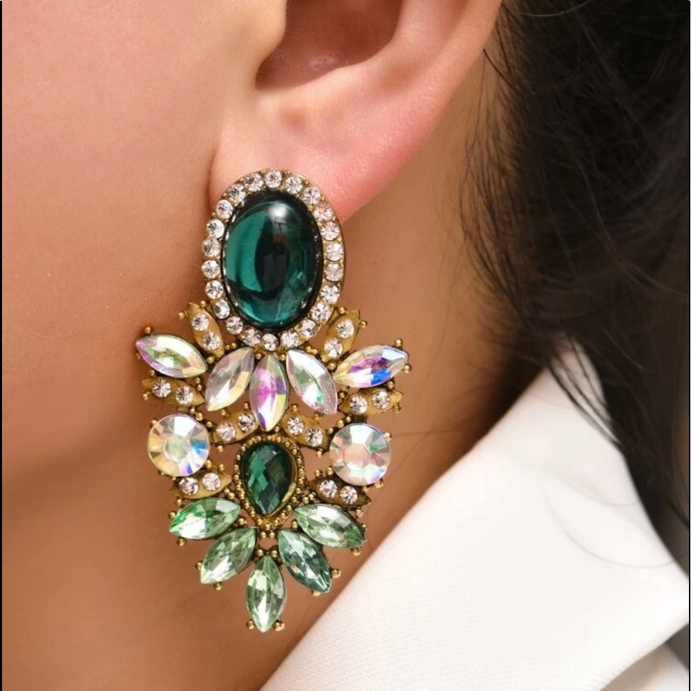 EARRINGS NWOT